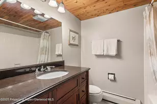 600 E E Main St St, Aspen, CO 81611 - Photo 11