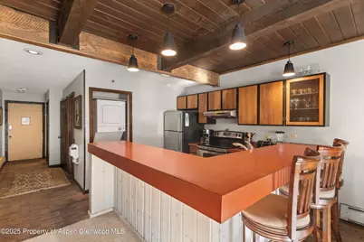 600 E E Main St Street #207, Aspen, CO 81611 - Photo 5