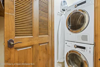 415 E Dean St, Unit 48, Week 31, Aspen, CO 81611 - Photo 29