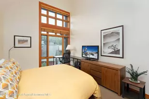 110 Carriage Way, Snowmass Village, CO 81615 - Photo 9