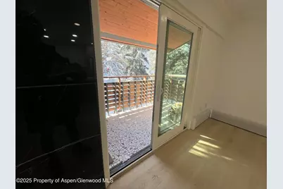 910 W Hallam Street #12, Aspen, CO 81611 - Photo 7