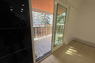 910 W Hallam St, Aspen, CO 81611 - Photo 7