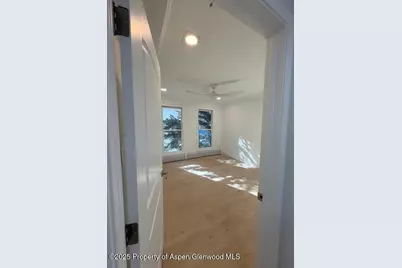 910 W Hallam Street #12, Aspen, CO 81611 - Photo 17