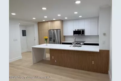 910 W Hallam Street #12, Aspen, CO 81611 - Photo 3