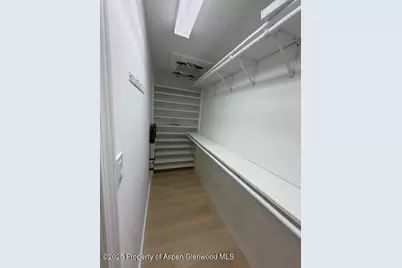 910 W Hallam Street #12, Aspen, CO 81611 - Photo 23