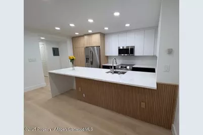 910 W Hallam Street #12, Aspen, CO 81611 - Photo 5