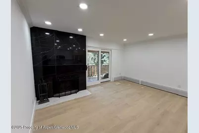 910 W Hallam Street #12, Aspen, CO 81611 - Photo 9