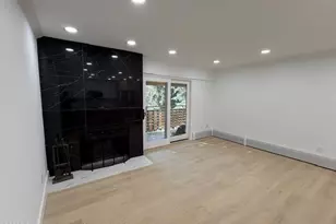 910 W Hallam St, Aspen, CO 81611 - Photo 9