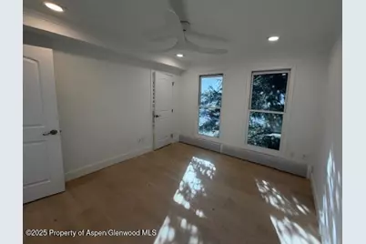 910 W Hallam Street #12, Aspen, CO 81611 - Photo 15