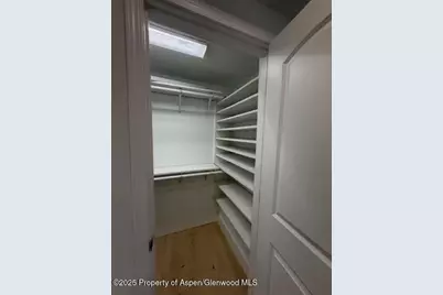 910 W Hallam Street #12, Aspen, CO 81611 - Photo 25