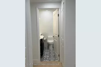 910 W Hallam Street #12, Aspen, CO 81611 - Photo 19