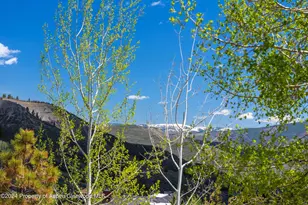 425 Wood Rd, Snowmass Village, CO 81615 - Photo 23