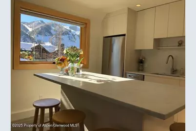 1136 Vine Street #1136, Aspen, CO 81611 - Photo 1