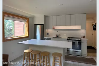 1136 Vine Street #1136, Aspen, CO 81611 - Photo 3