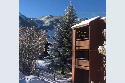 1136 Vine Street #1136, Aspen, CO 81611 - Photo 13