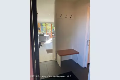 1136 Vine Street #1136, Aspen, CO 81611 - Photo 9