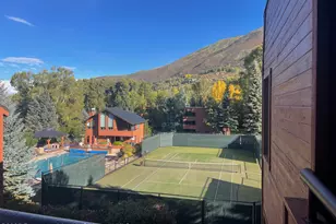 1136 Vine St, Aspen, CO 81611 - Photo 11