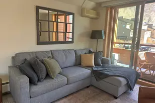 1136 Vine St, Aspen, CO 81611 - Photo 5