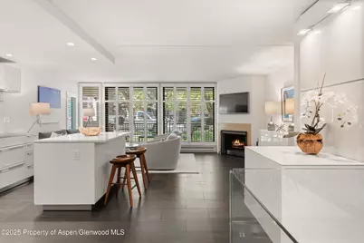 800 E Hopkins Avenue #A-3, Aspen, CO 81611 - Photo 3