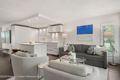800 E Hopkins Avenue #A-3, Aspen, CO 81611 - Photo 1