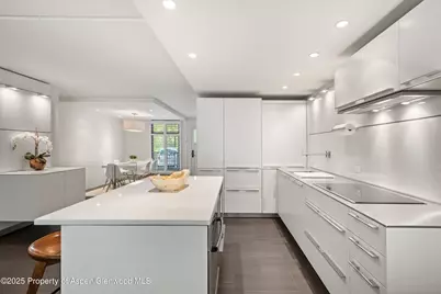 800 E Hopkins Avenue #A-3, Aspen, CO 81611 - Photo 7