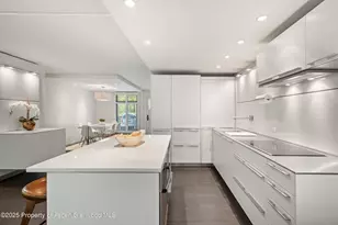 800 E Hopkins Ave, Aspen, CO 81611 - Photo 7