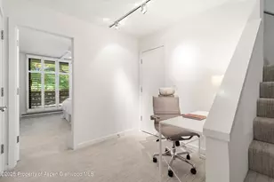 800 E Hopkins Ave, Aspen, CO 81611 - Photo 17