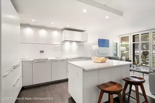 800 E Hopkins Ave, Aspen, CO 81611 - Photo 9