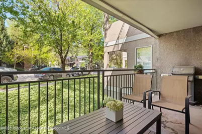 800 E Hopkins Avenue #A-3, Aspen, CO 81611 - Photo 31