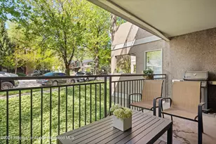 800 E Hopkins Ave, Aspen, CO 81611 - Photo 31