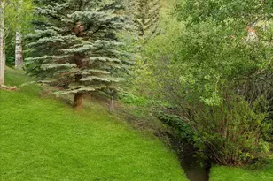 238 Terrace Dr, Snowmass Village, CO 81615 - Photo 5