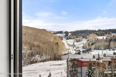 119 Wood Road #403, Snowmass Village, CO 81615 - Photo 9