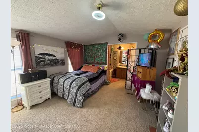 312 Ceratosaurus Circle, Dinosaur, CO 81610 - Photo 7