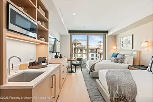 130 Wood Rd, Snowmass Village, CO 81615 - Photo 19