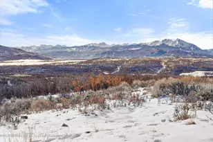 2103 Ten Peaks Mesa Rd, Carbondale, CO 81623 - Photo 17