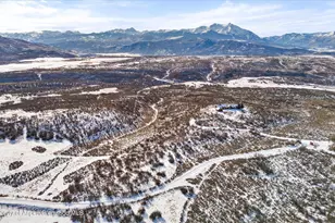 2103 Ten Peaks Mesa Rd, Carbondale, CO 81623 - Photo 49