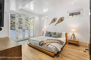 63 Smuggler Grove, Aspen, CO 81611 - Photo 35