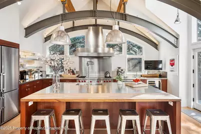 63 Smuggler Grove, Aspen, CO 81611 - Photo 19