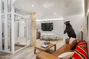 63 Smuggler Grove, Aspen, CO 81611 - Photo 41