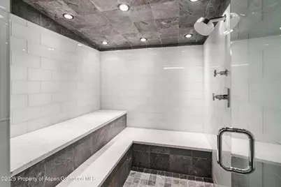 63 Smuggler Grove, Aspen, CO 81611 - Photo 45