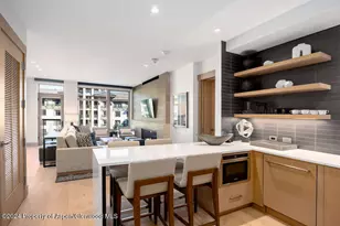 130 Wood Rd, Snowmass Village, CO 81615 - Photo 3