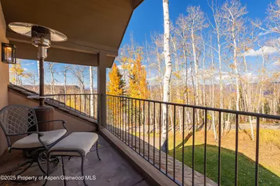 141 Baby Doe Lane, Snowmass Village, CO 81615 - Photo 29
