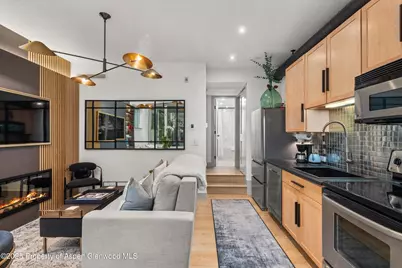 434 E Main Street #104, Aspen, CO 81611 - Photo 11