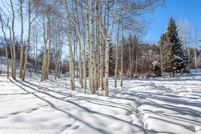 75 Glen Garry Drive, Aspen, CO 81611 - Photo 7