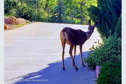 400 Wood Road #2203, Snowmass Village, CO 81615 - Photo 17
