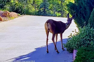 400 Wood Rd, Snowmass Village, CO 81615 - Photo 17