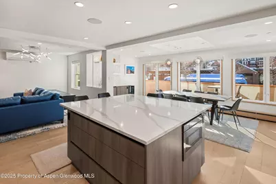 447 E Cooper Avenue #1, Aspen, CO 81611 - Photo 19
