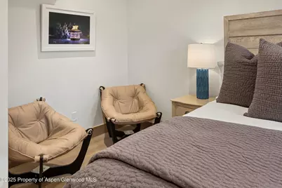 447 E Cooper Avenue #1, Aspen, CO 81611 - Photo 37