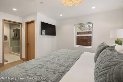 447 E Cooper Avenue #1, Aspen, CO 81611 - Photo 43