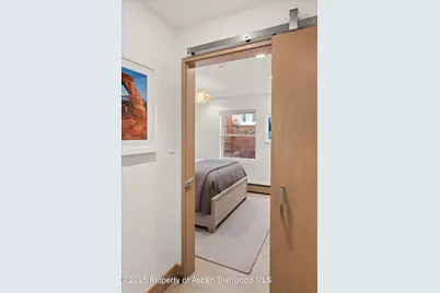 447 E Cooper Avenue #1, Aspen, CO 81611 - Photo 35